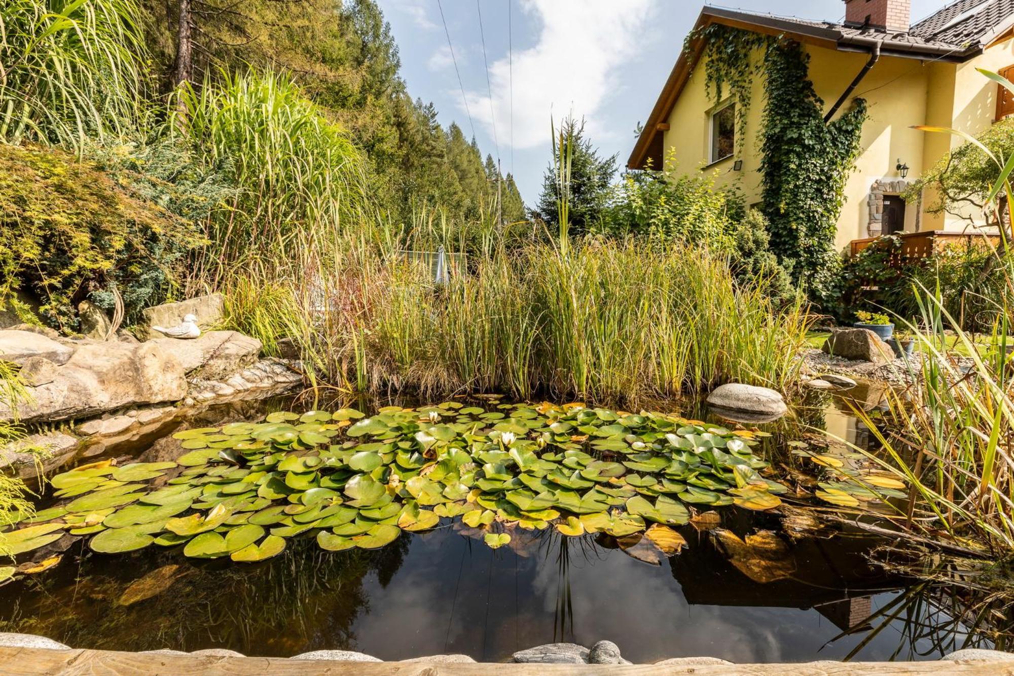 Apartamenty Zielona Owieczka Niedzica Zamek Buitenkant foto