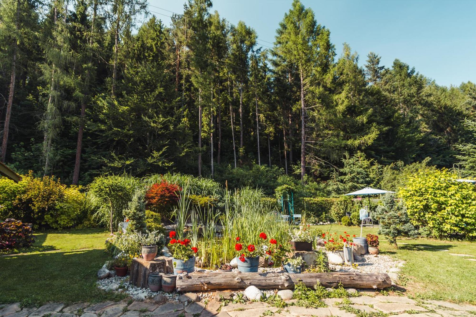 Apartamenty Zielona Owieczka Niedzica Zamek Buitenkant foto