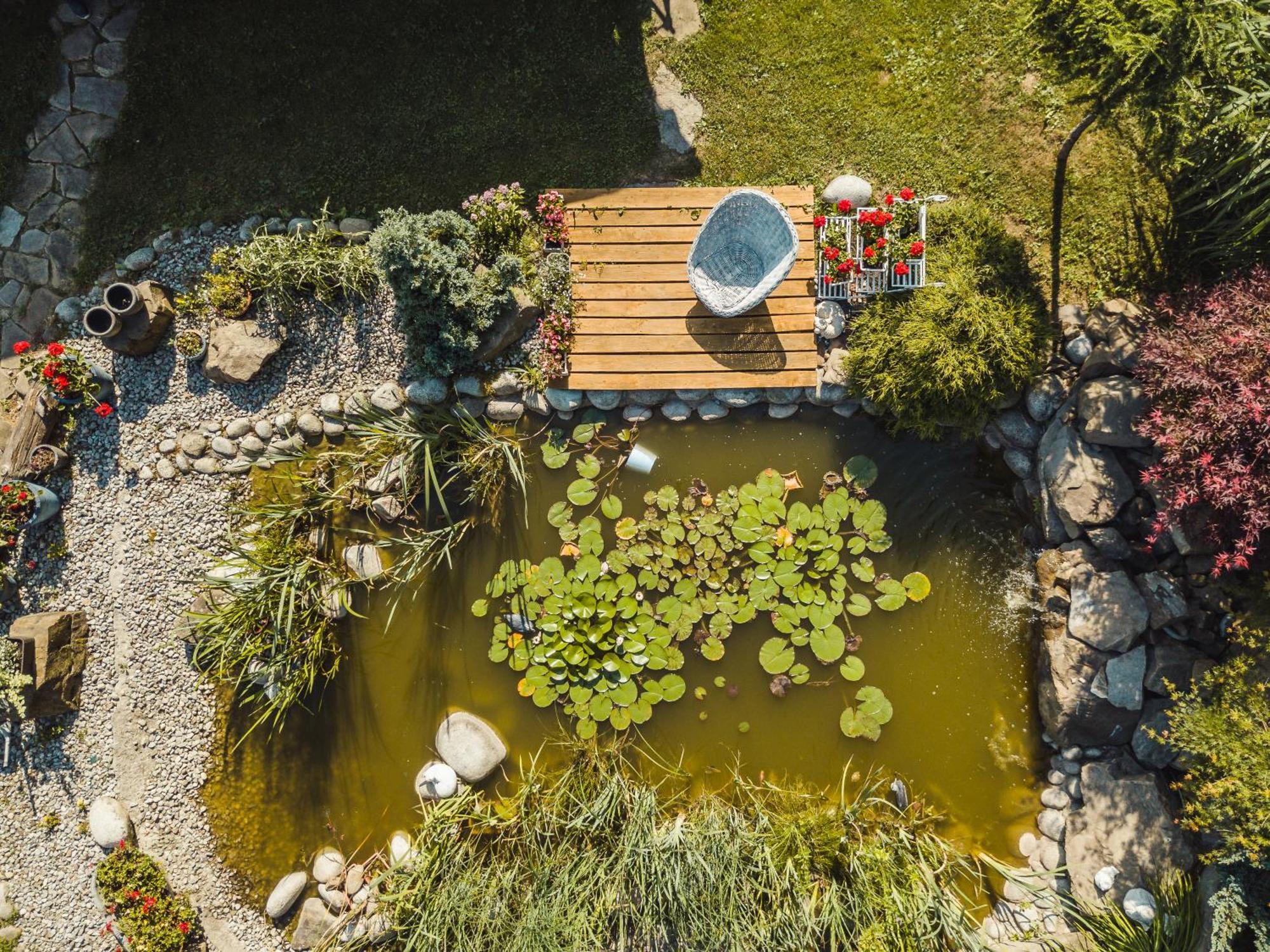 Apartamenty Zielona Owieczka Niedzica Zamek Buitenkant foto