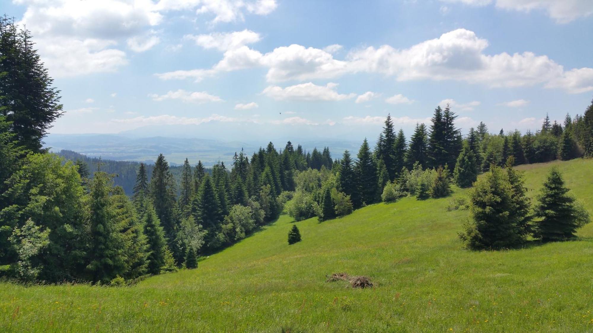 Apartamenty Zielona Owieczka Niedzica Zamek Buitenkant foto